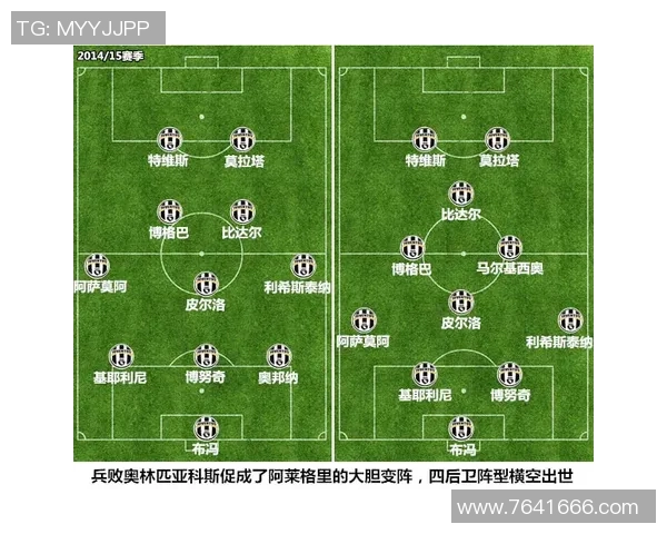 南京羽毛球队阵地战体系解析与战术运用研究