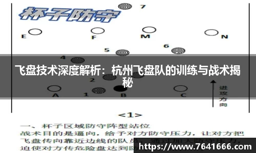 飞盘技术深度解析：杭州飞盘队的训练与战术揭秘